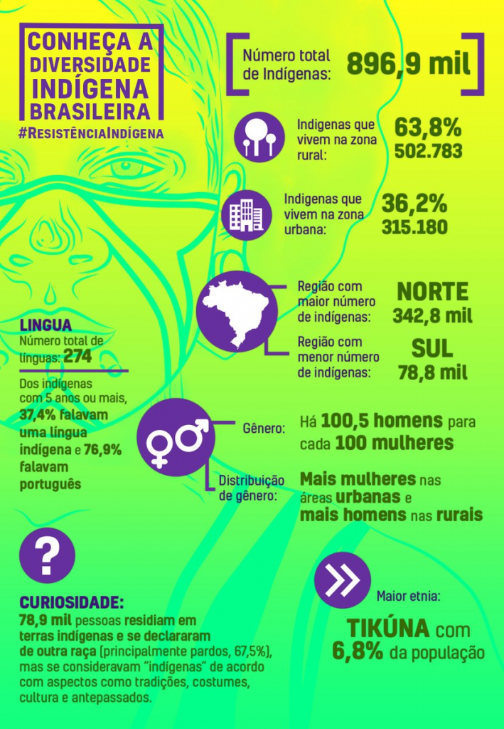 O Que é Diversidade Indígena