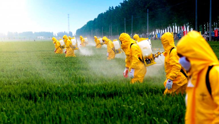 Agromitômetro: verdades e mentiras no discurso dos ruralistas sobre pesticidas