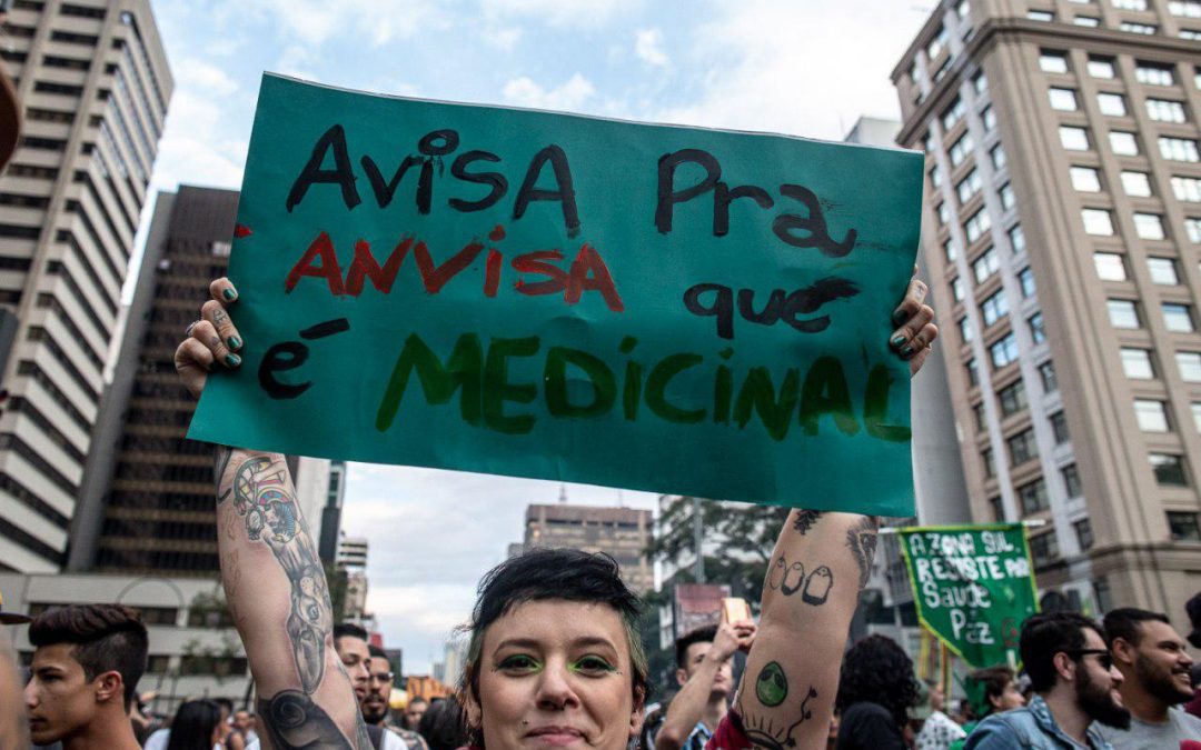 Brasil deu primeiro passo para regulamentar maconha medicinal; e agora?