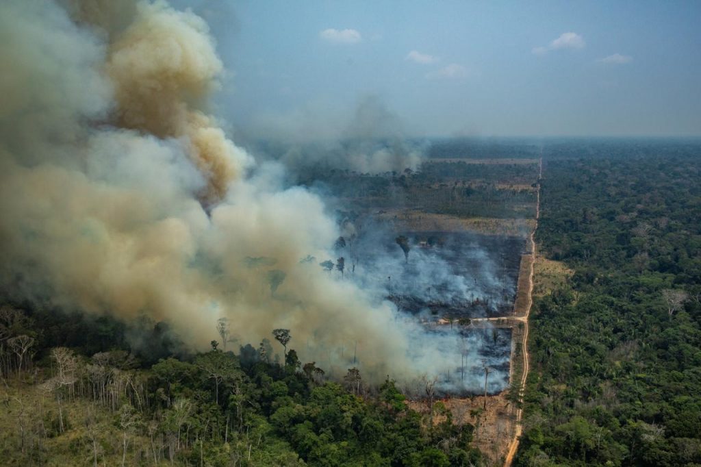 10 things you should know about the Amazon rainforest fire - Mídia NINJA