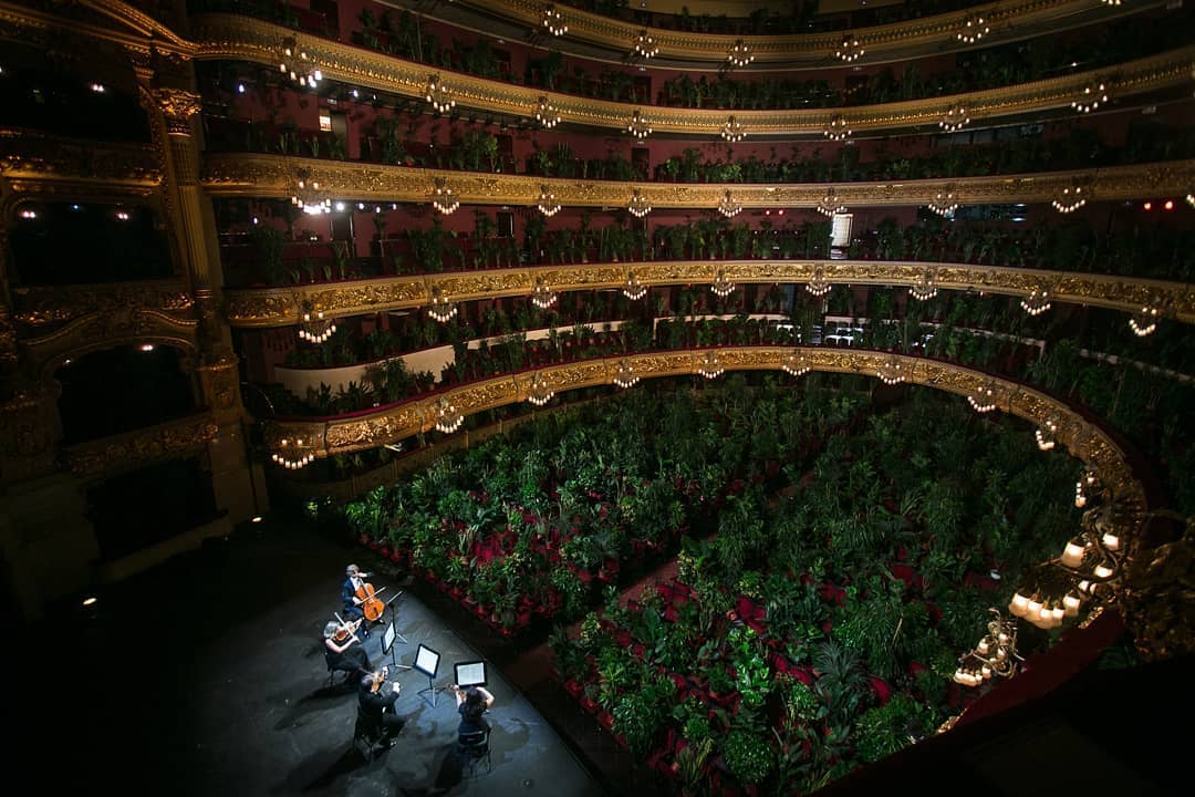 Teatro Liceu em Barcelona reabre com concerto para mais de 2 mil plantas