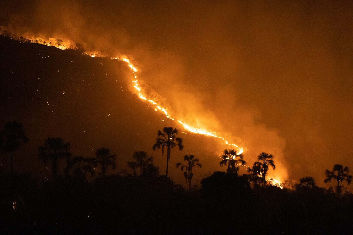 Amazônia em Chamas 20: “Tudo que vai queimar está pela frente