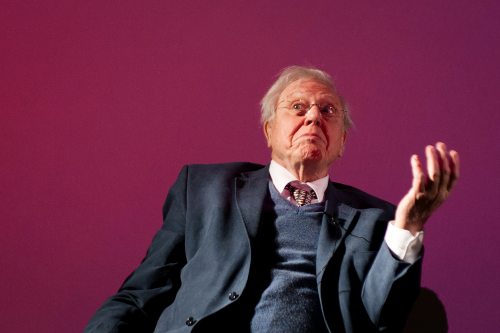 “As nações mais ricas têm uma responsabilidade moral”, diz David Attenborough sobre ajuda a mais pobres