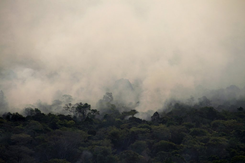 Climate changes, deforestation and fire hinder regeneration of the Amazon and Pantanal