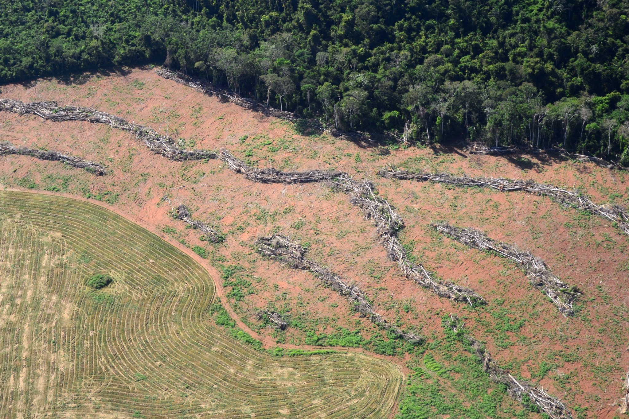 Alertas de desmatamento na Amazônia batem recorde em outubro, aponta Inpe