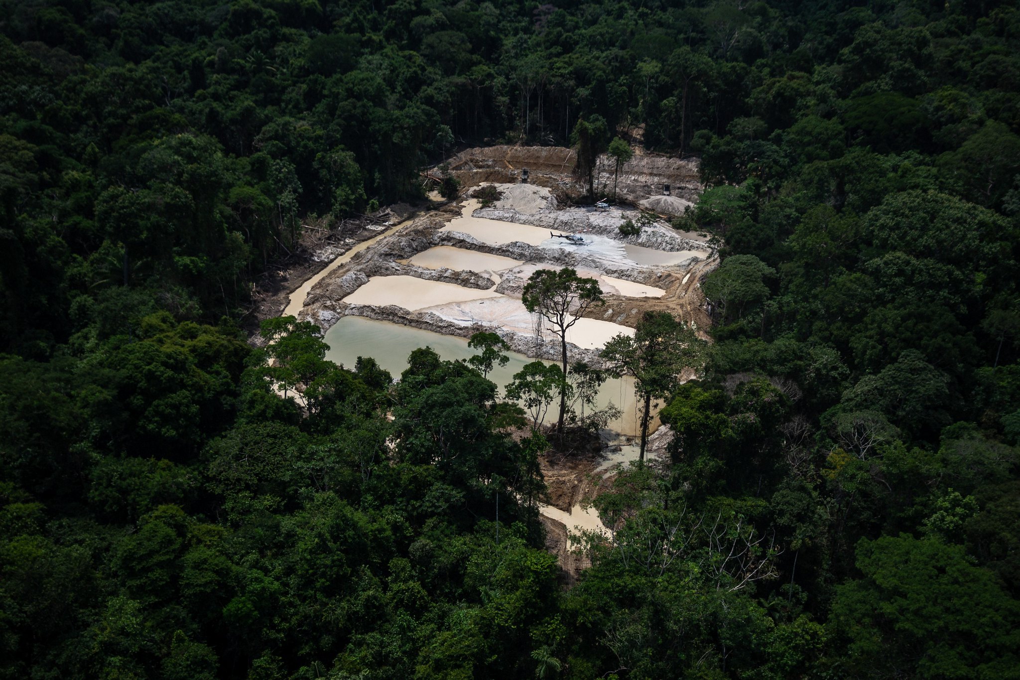Indígenas da Panamazônia expõem mapa da exploração: “desenvolvimento para quem?”