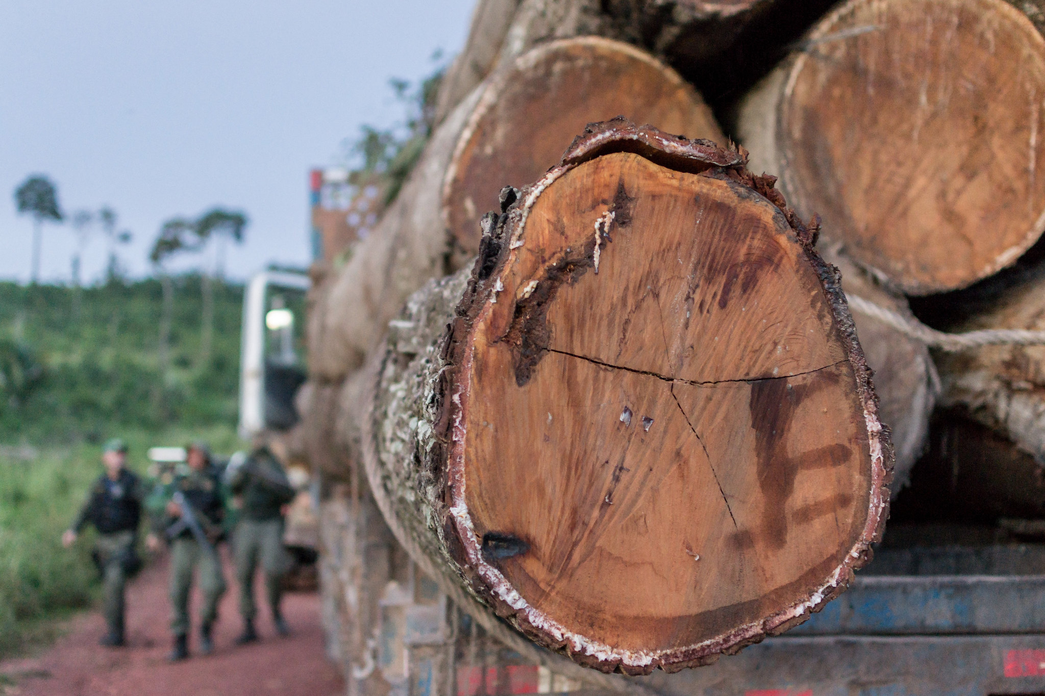 Brasil assina acordo para zerar desmatamento