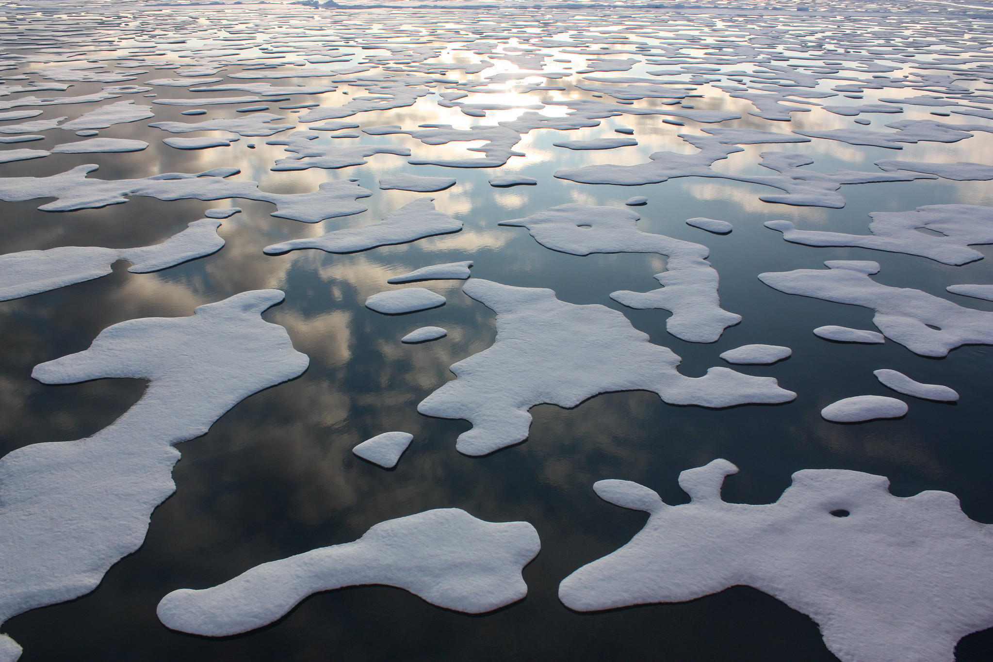 O que é o IPCC e por que o seu último relatório é um alerta para uma ação climática urgente