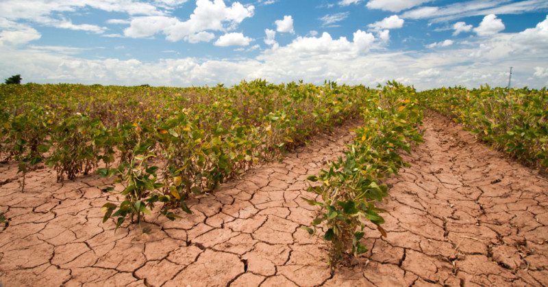 Crise climática e agricultura: uma relação insustentável