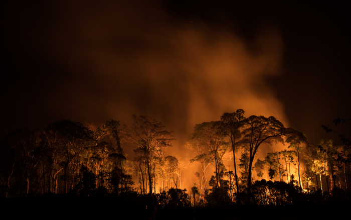 Desmatamento pode quadruplicar em território de isolados no sul do Amazonas