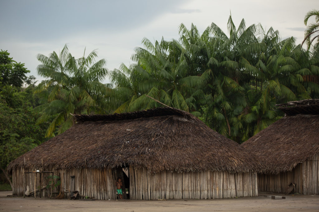 Das 10 terras indígenas mais pressionadas pelo desmatamento, cinco estão em Roraima