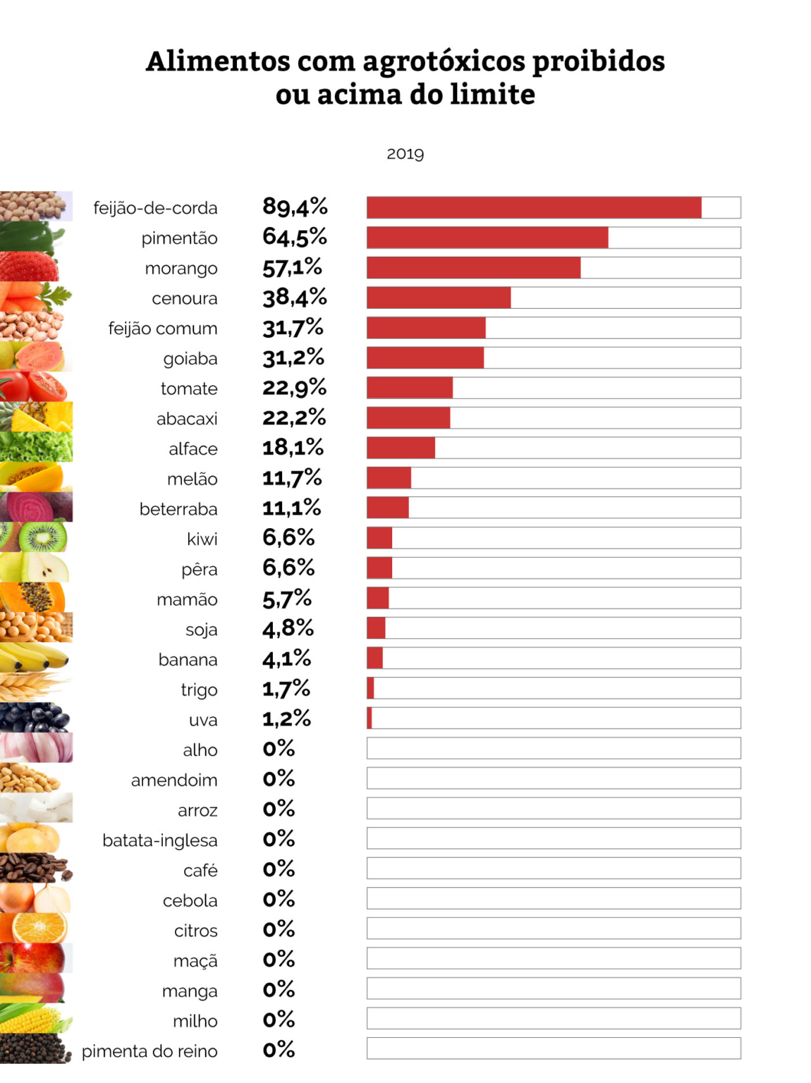 13 Mulheres que lutam pelo meio ambiente -Sem Abelha Sem Alimento