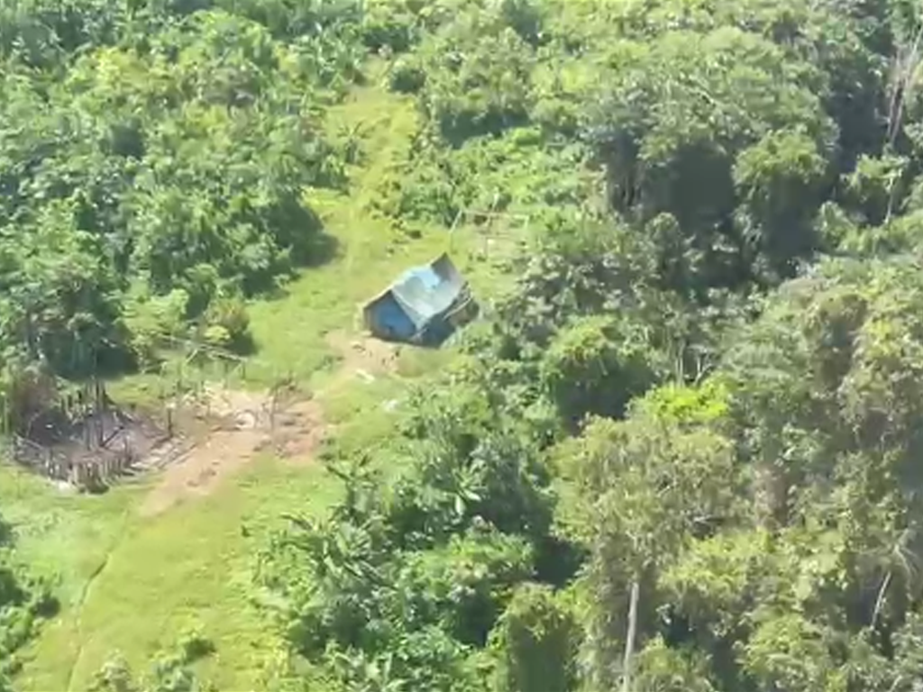 Cadê os Yanomami: onda de tweets cobra atuação do governo federal