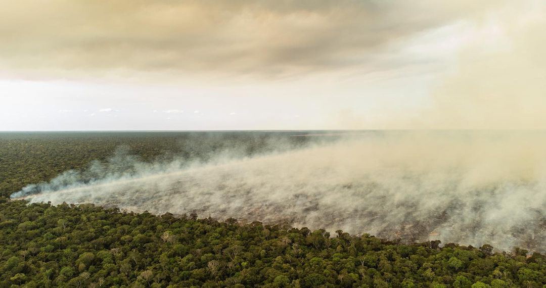 Amazônia registra desmatamento sem controle após derrota de Bolsonaro
