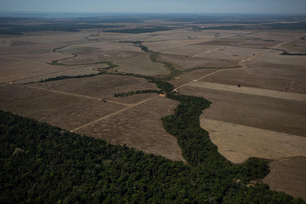 Inpe alerta para novo recorde de desmatamento na Amazônia em outubro