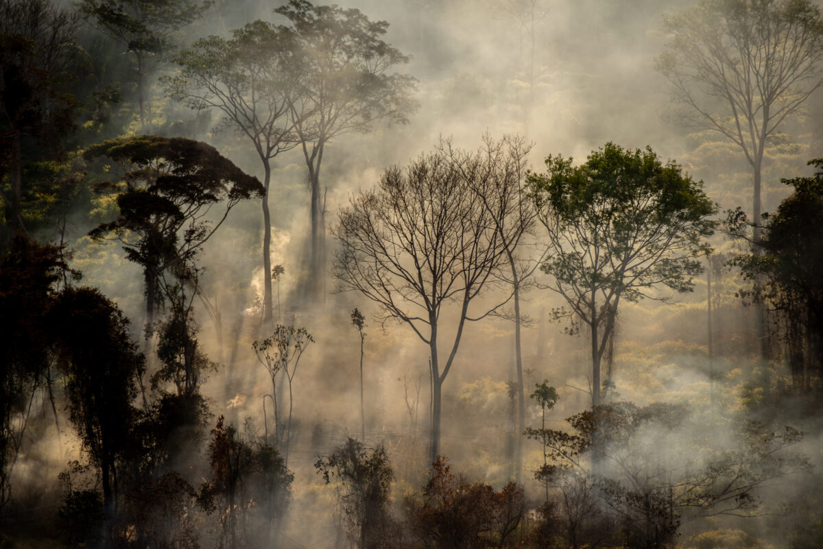 A outra história da ‘Indiociata’ no Mato Grosso: focos de incêndio em terras indígenas e pressão do agro