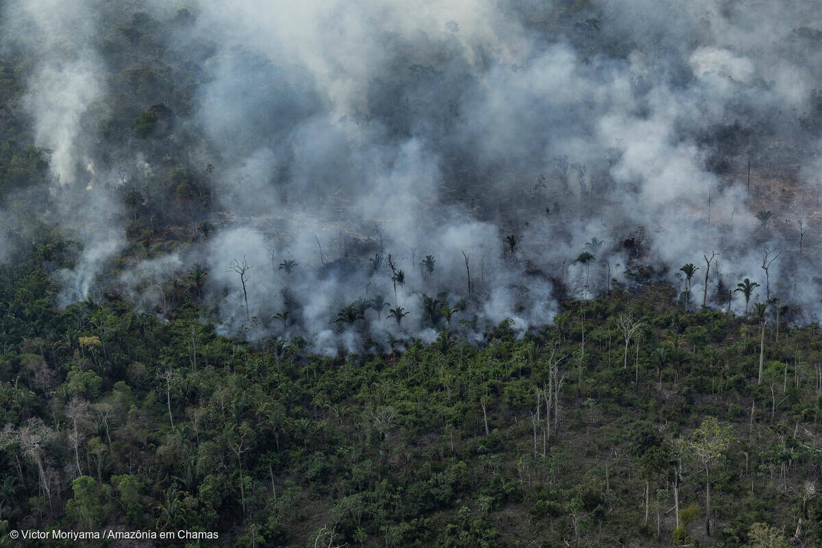 Desmatamento responde por 81% do metano emitido por queimadas
