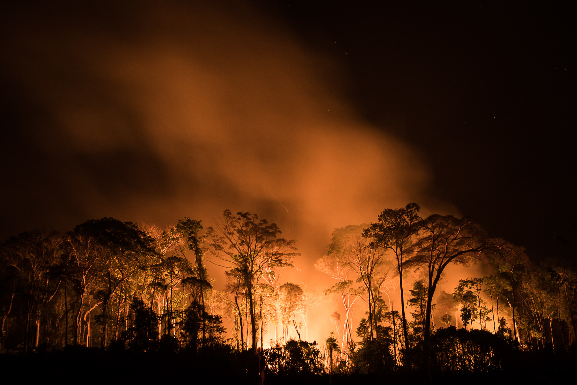 90% dos focos de incêndio estão na Amazônia e no Cerrado, aponta  levantamento - Mídia NINJA