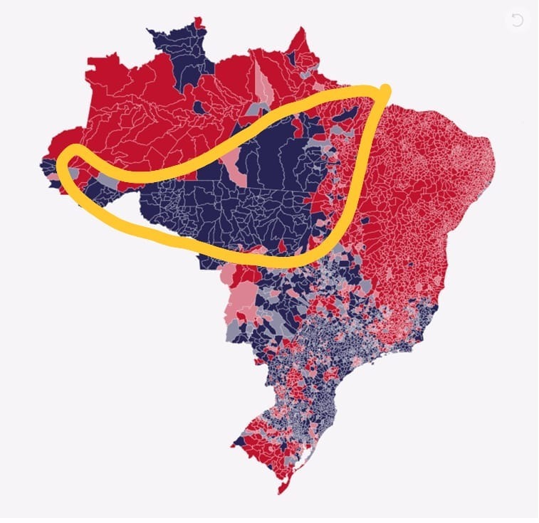 Bolsonaro teve mais votos no arco do desmatamento. Saiba o que isso significa