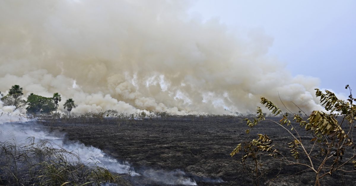 90% dos focos de incêndio estão na Amazônia e no Cerrado, aponta  levantamento - Mídia NINJA