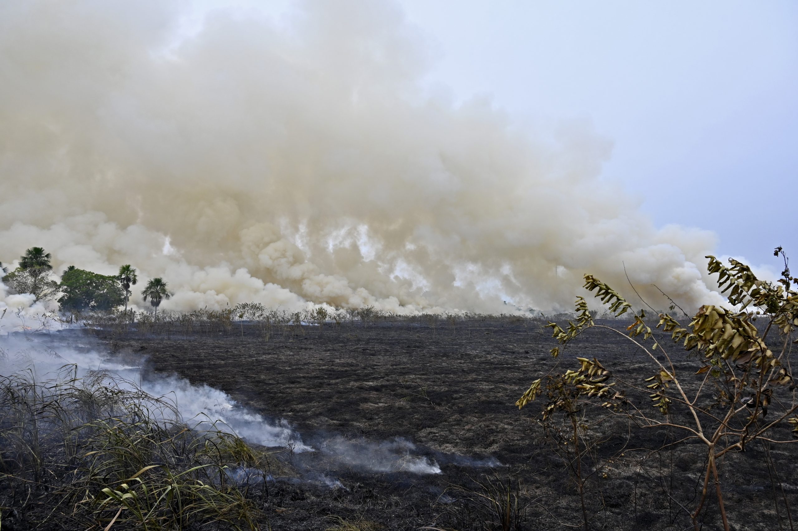 Amazônia tem maior número de focos de queimadas desde 2010