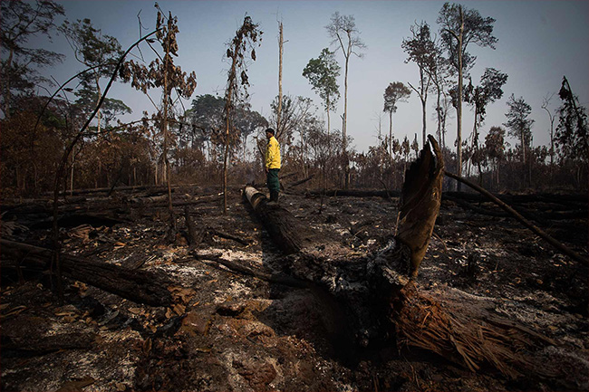 Em 2022, Amazônia teve maior desmatamento em 15 anos, diz Imazon