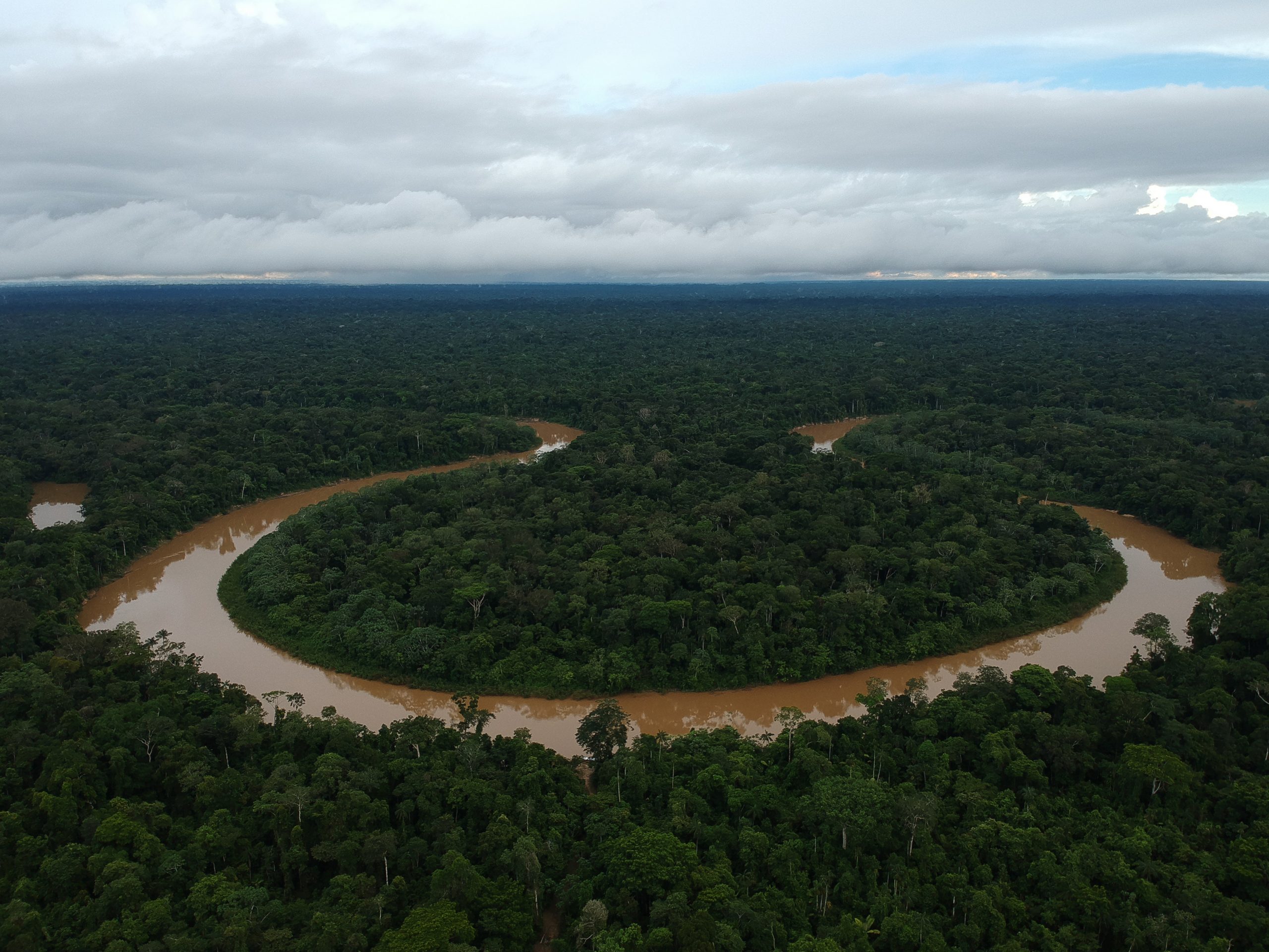 Pelo 10º mês consecutivo, Amazônia registra redução do desmatamento, aponta Imazon
