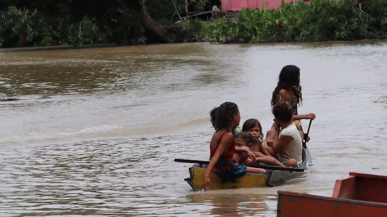 Salinização do Amazonas: comunidades e escolas no Amapá estão sem água potável