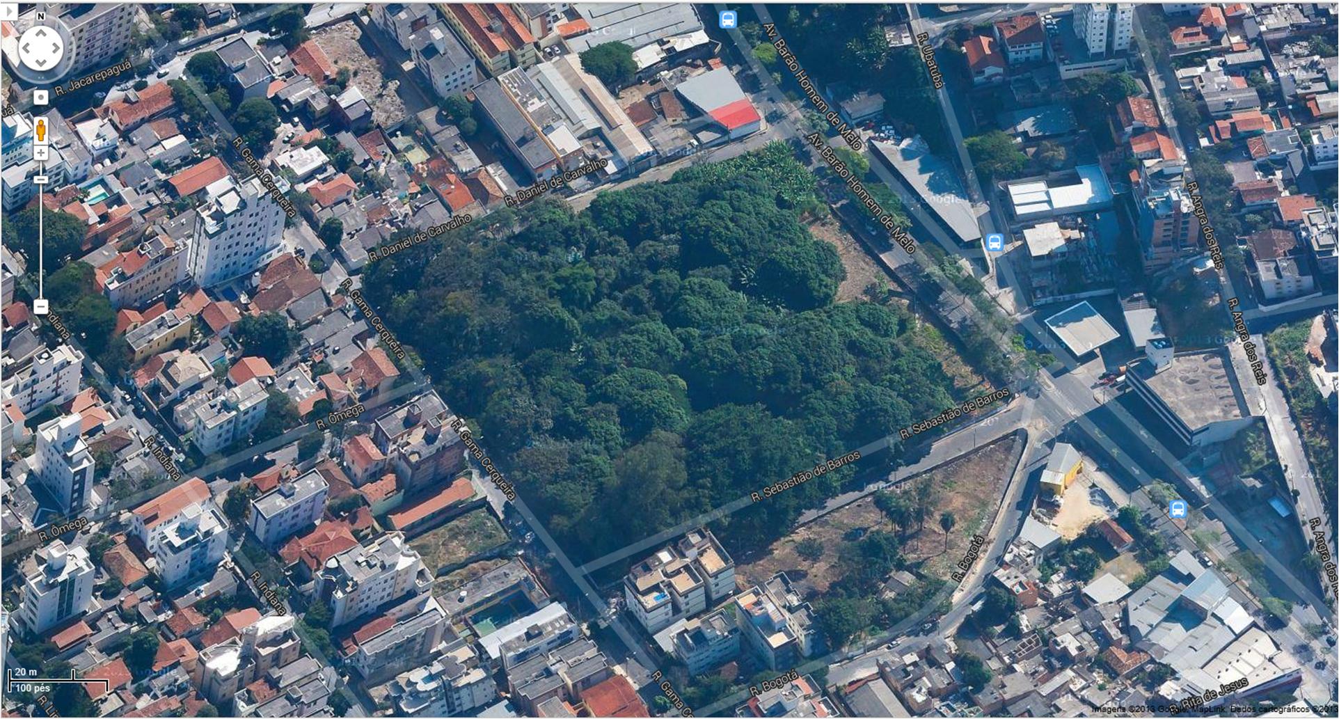 SOS Jardim América: 465 árvores estão listadas para morrer na zona oeste de Belo Horizonte