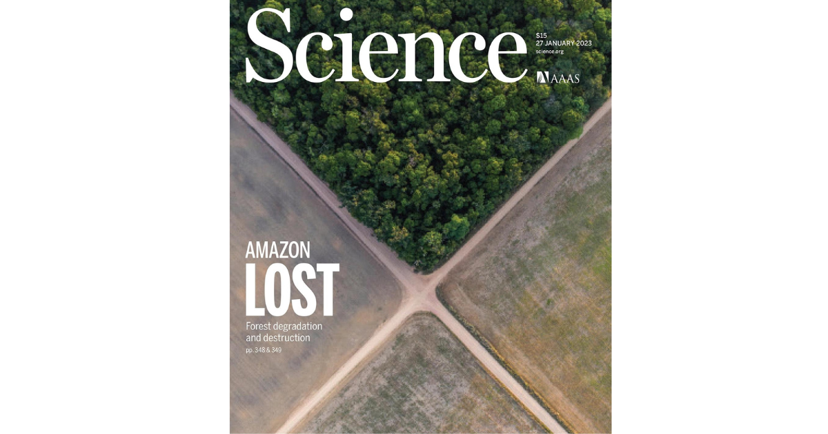 Amazônia Perdida: Revista Science alerta que degradação está se tornando irreversível