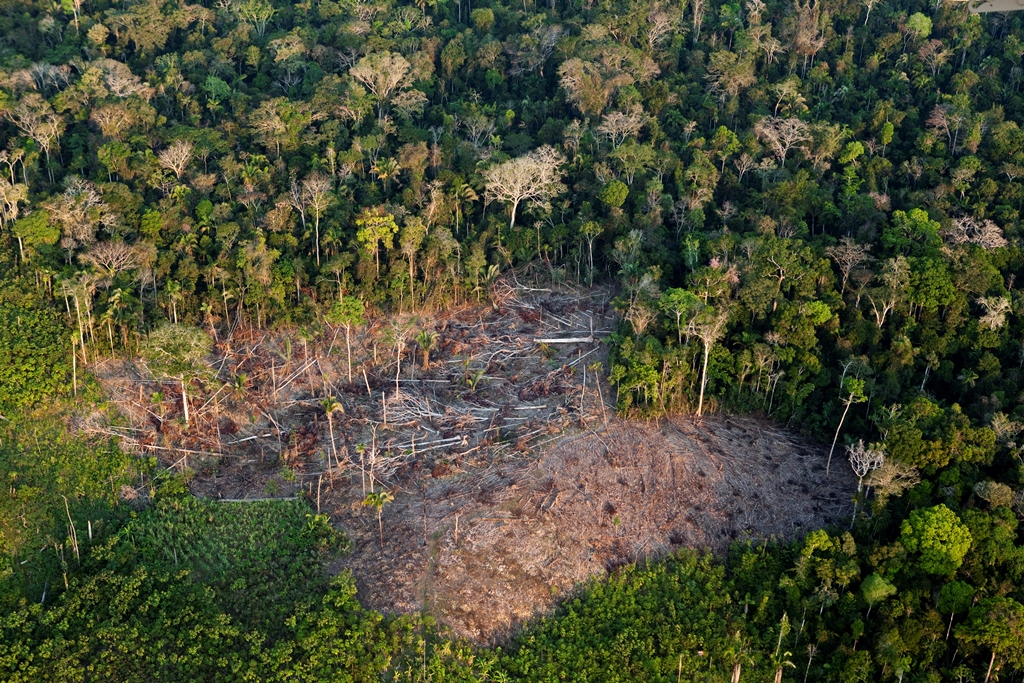 Desmatamento da Amazônia tem queda de 61% em janeiro de 2023