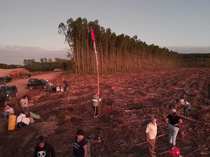 MST ocupa áreas de fazendas que utilizam avião para pulverizar agrotóxico na Bahia