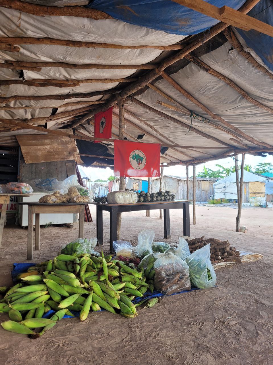 Em Mato Grosso, Rota Caminhos da Agroecologia leva alimentos da agricultura familiar para a cidade