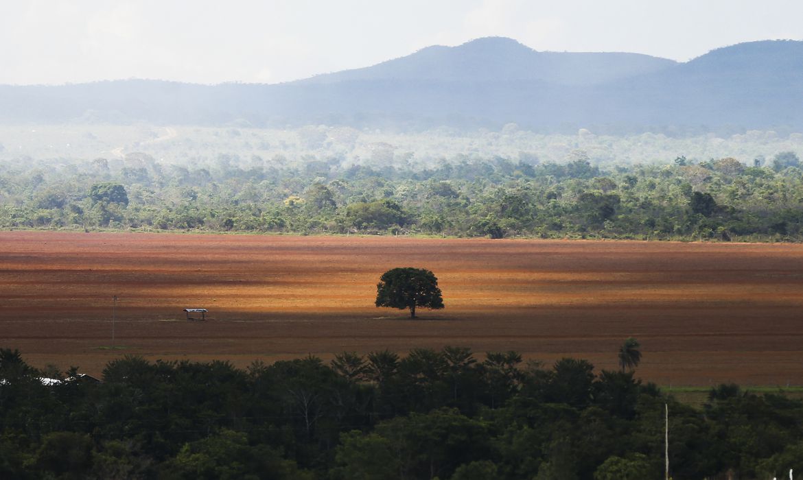 Em MT, quase 80% do desmatamento no Cerrado é ilegal