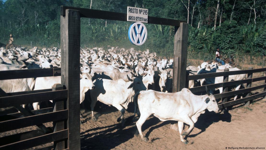 Volkswagen se recusa a pagar R$ 165 milhões a vítimas de trabalho escravo em sua fazenda de gado na Amazônia