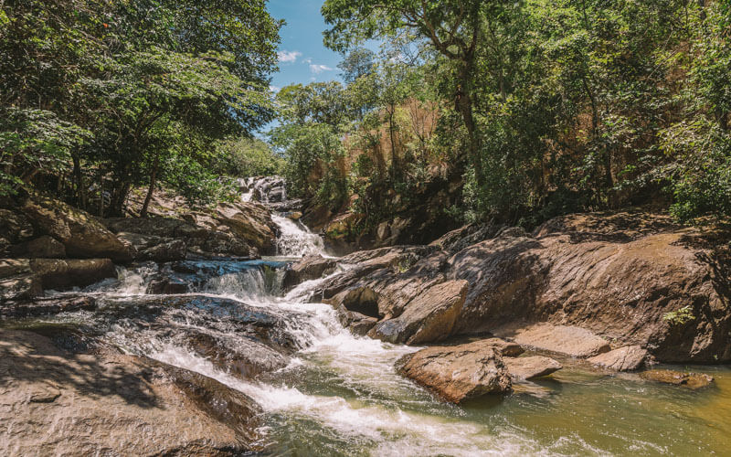 Dia Mundial da Água: Cerrado pode perder quase 34% dos fluxos dos rios até 2050