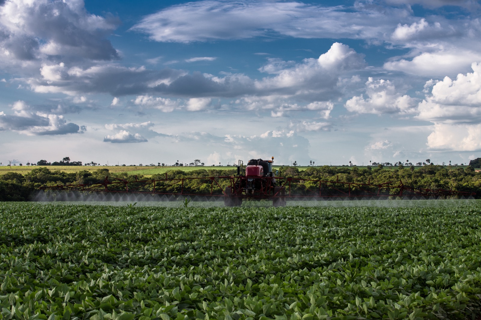 Mais de 70% dos agrotóxicos utilizados no Brasil são consumidos no cerrado