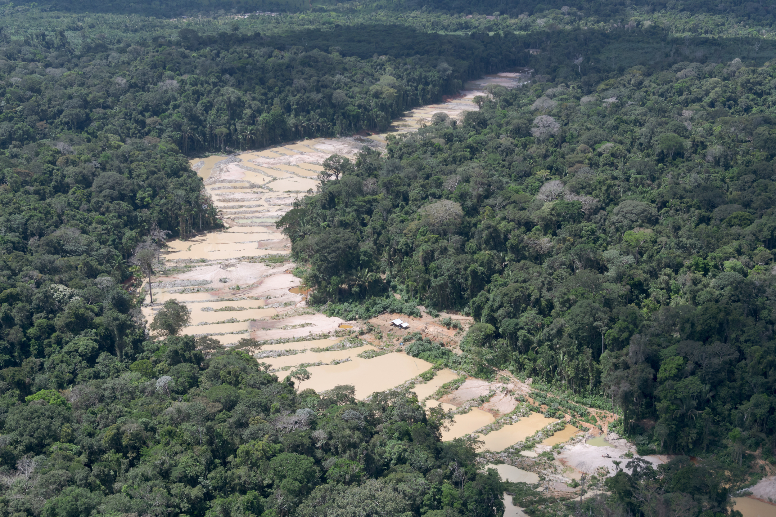 Por trás do garimpo: Greenpeace lança série na Mídia NINJA sobre os impactos do garimpo ilegal na Amazônia
