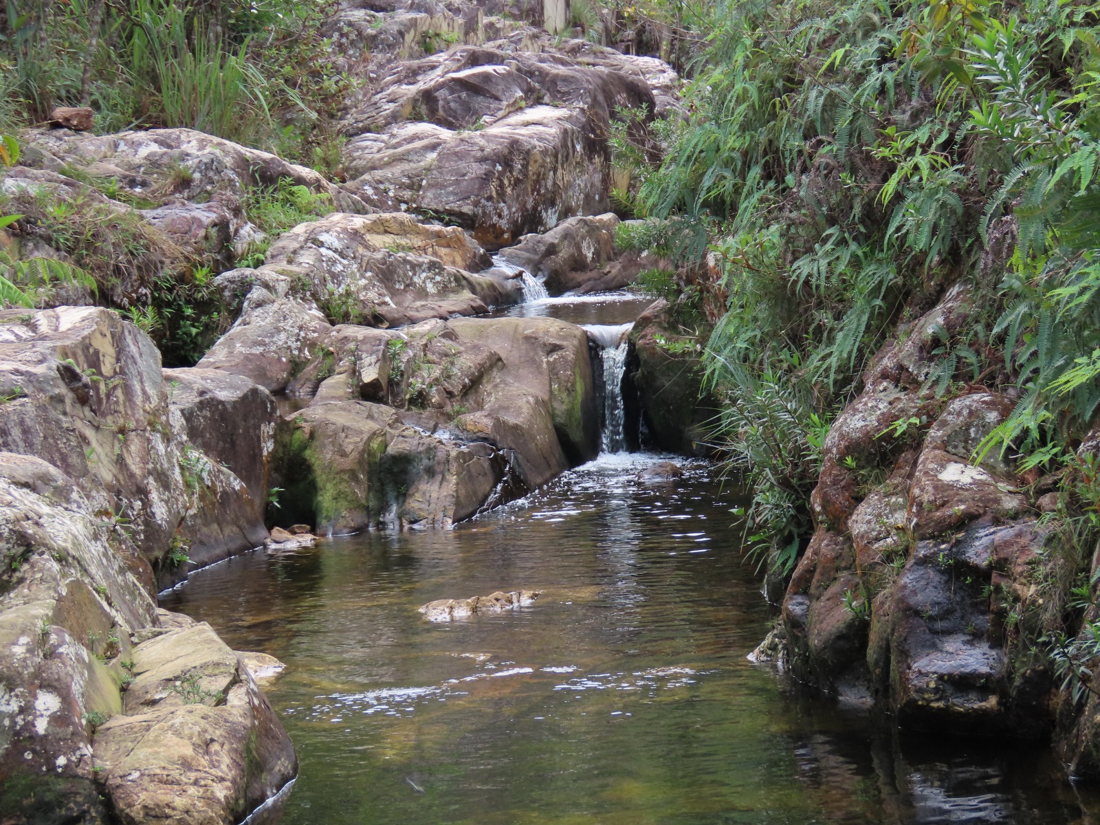 Salve a Serra Tiradentes: santuário ecológico ameaçado em MG pode virar parque nacional