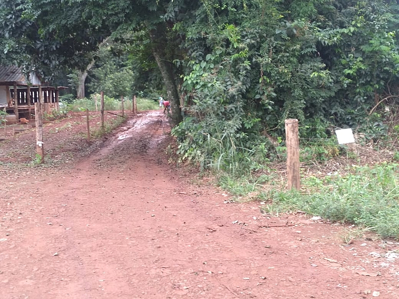 Fazendeiro ameaça isolar avá-guaranis e oferece R$ 4 mil para fechar estrada que acessa aldeia