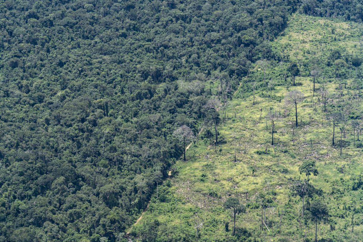 Xingu sob pressão: região que abriga Cerrado e Amazônia sofre sérias ameaças, revela documento