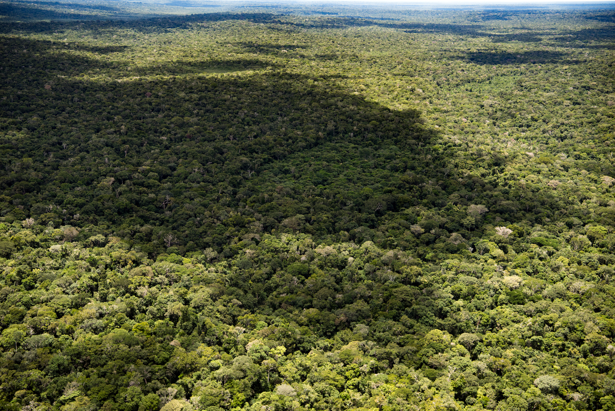 Com dados preliminares, alertas de desmatamento na Amazônia caem 39% no primeiro semestre