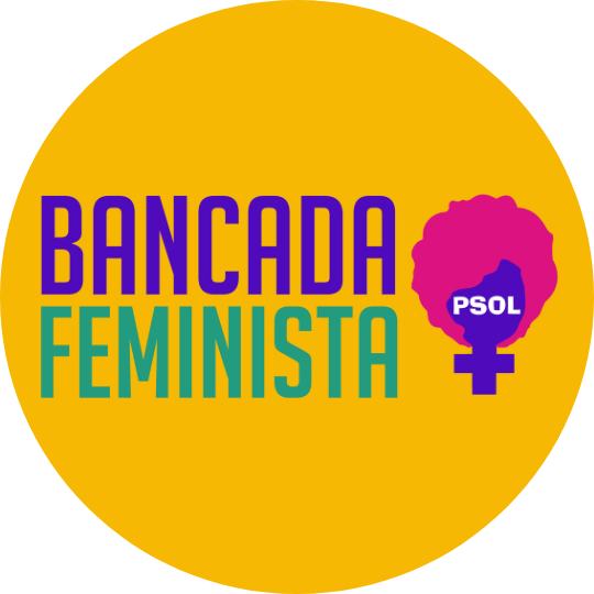 Vitória: Câmara Municipal de SP aprova PL da Bancada Feminista em defesa das crianças intersexo