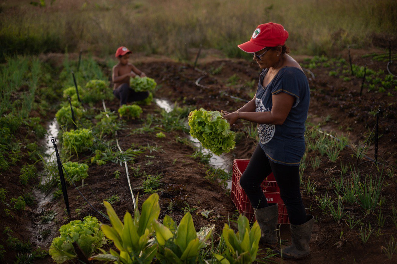 MST convida o povo brasileiro para conhecer as áreas de Reforma Agrária Popular