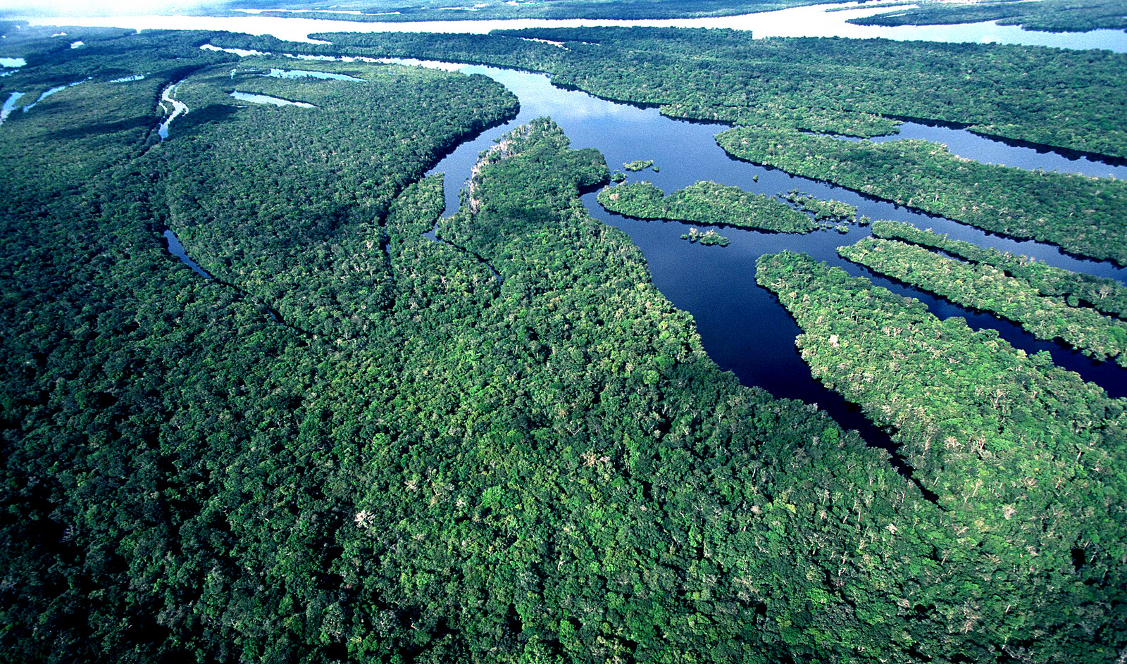 Plano de Ação do Governo Federal busca o Desmatamento Zero na Amazônia até 2030