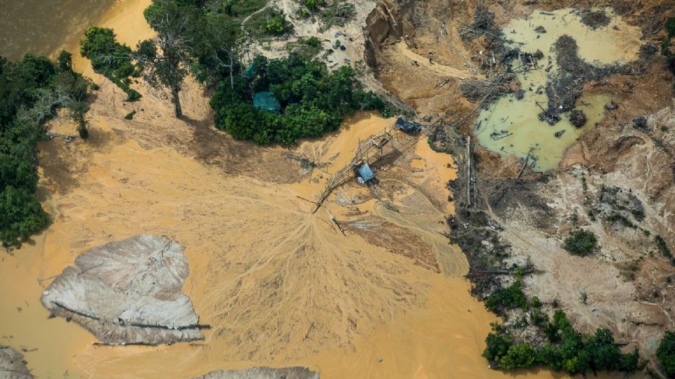 Desmatamento na Amazônia na era Bolsonaro equivale a um RJ e meio: 6,6 milhões de hectares