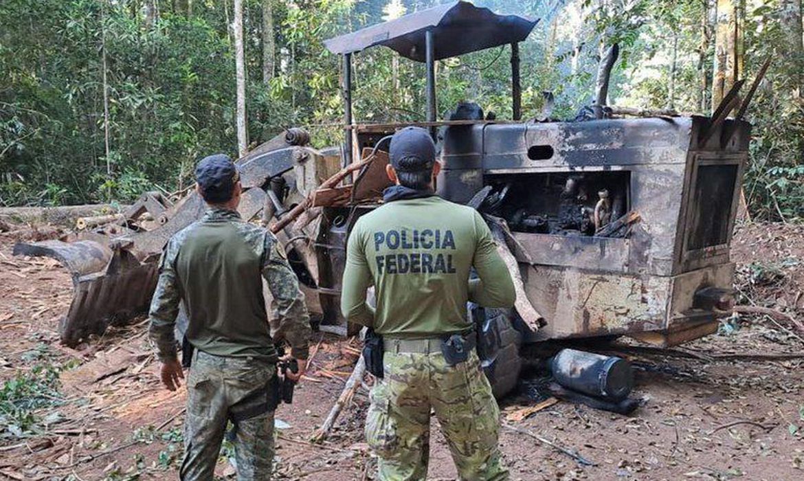 Diamantes extraídos de Terras Indígenas em Rondônia são apreendidos em operação da PF