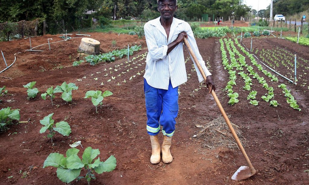 Conaq Lança Edital Para Estímulo à Agricultura Familiar Quilombola Mídia Ninja 9937