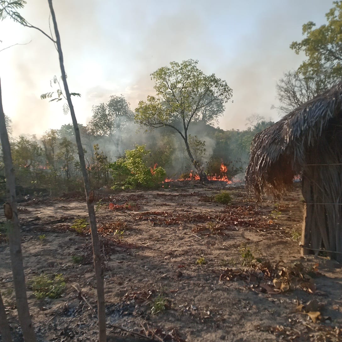 Território Quilombola no Tocantins tem escalada de ataques: entidade exige proteção imediata