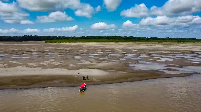 Crise climática: quinze cidades do Amazonas decretam estado de emergência por causa da seca